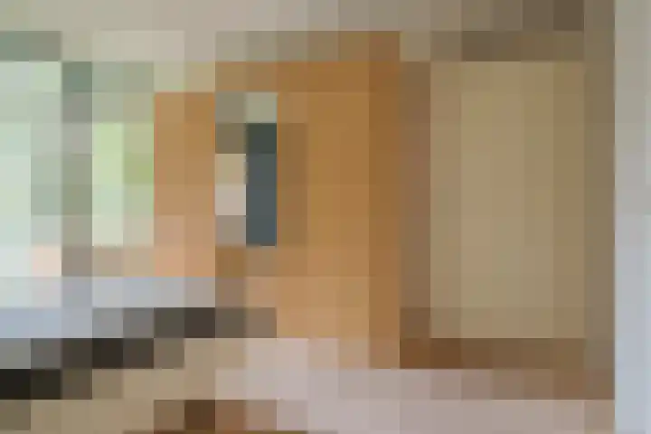 Bongerd 17 Hattem thumbnail 28