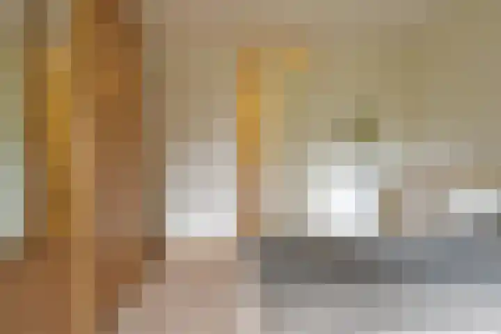 Bongerd 17 Hattem thumbnail 30