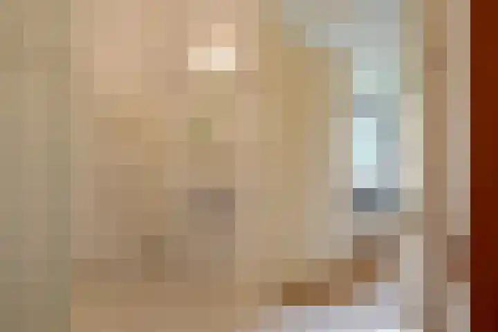 Bongerd 17 Hattem thumbnail 32