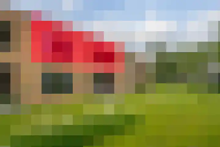 Bongerd 17 Hattem thumbnail 4