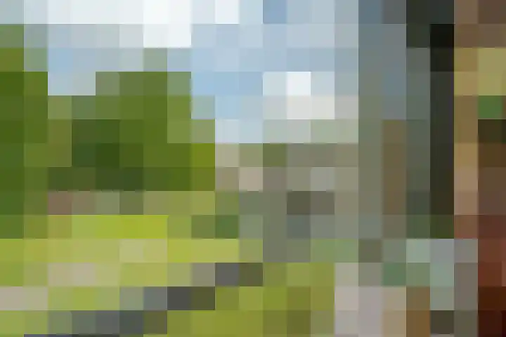 Bongerd 17 Hattem thumbnail 42