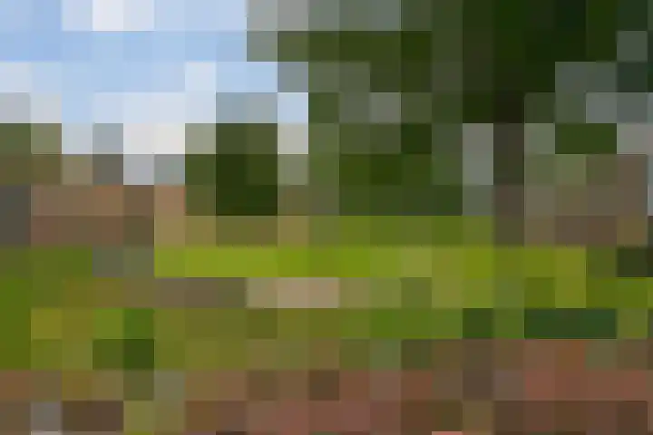 Bongerd 17 Hattem thumbnail 48