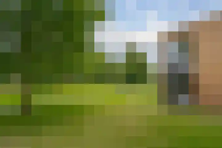 Bongerd 17 Hattem thumbnail 49