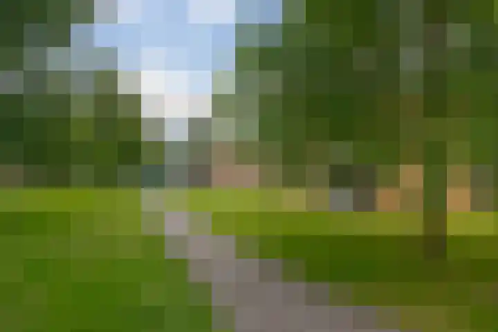 Bongerd 17 Hattem thumbnail 50