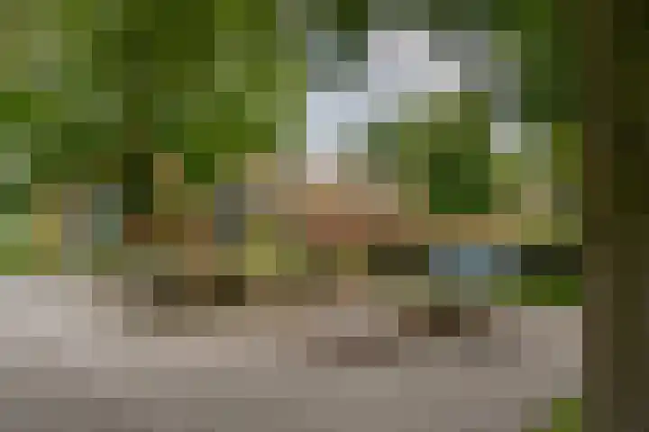 Bongerd 17 Hattem thumbnail 51
