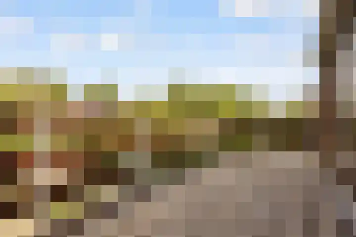 Bongerd 177 Lelystad thumbnail 30