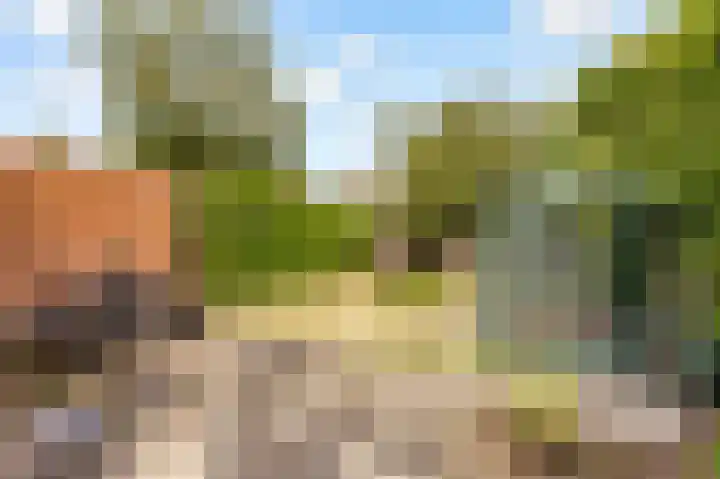 Bongerd 177 Lelystad thumbnail 32