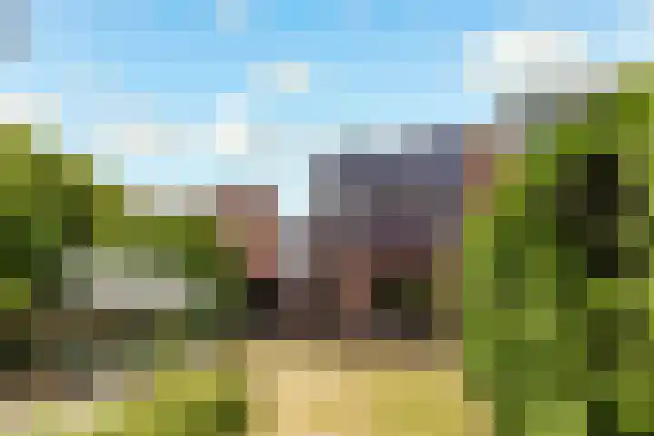 Bongerd 177 Lelystad thumbnail 33