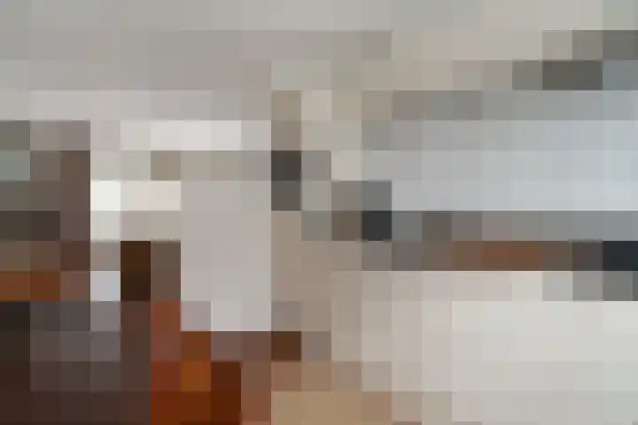 Bongerd 20 Giesbeek thumbnail 15