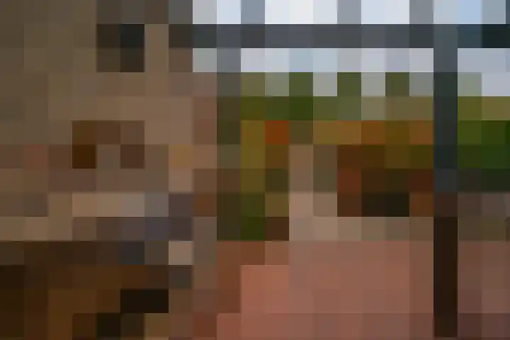Bongerd 20 Giesbeek thumbnail 18