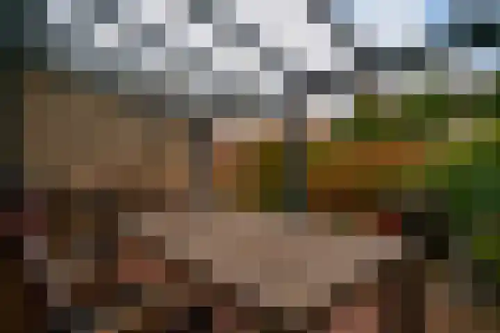 Bongerd 20 Giesbeek thumbnail 19