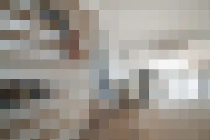 Bongerd 20 Giesbeek thumbnail 37