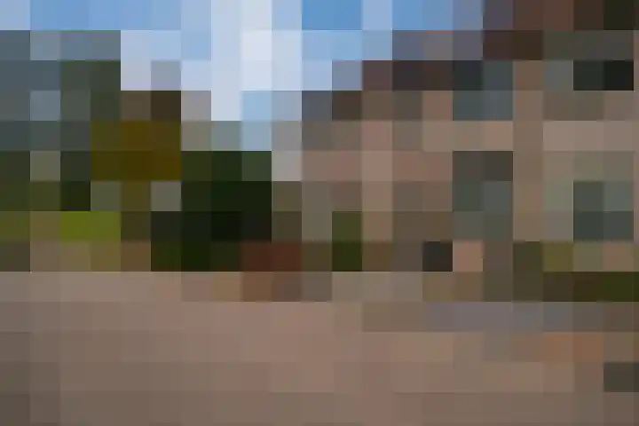 Bongerd 20 Giesbeek thumbnail 38