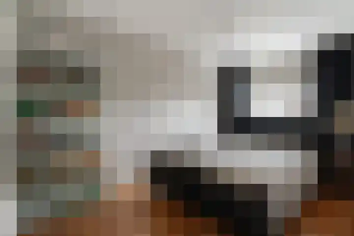 Bongerd 20 Giesbeek thumbnail 4