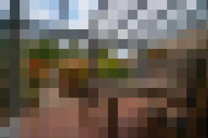 Bongerd 20 Giesbeek thumbnail 5