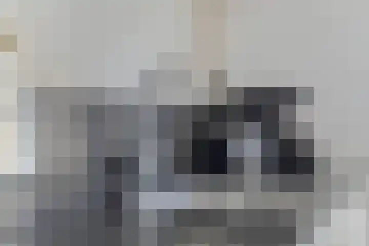 Bongerd 30 Someren thumbnail 10