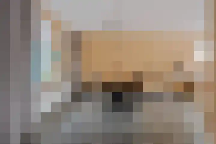 Bongerd 30 Someren thumbnail 11