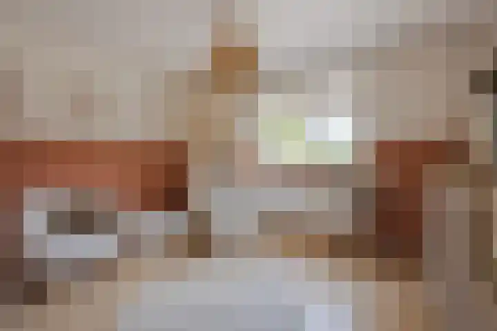 Bongerd 30 Someren thumbnail 17