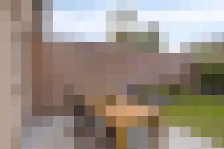 Bongerd 30 Someren thumbnail 21