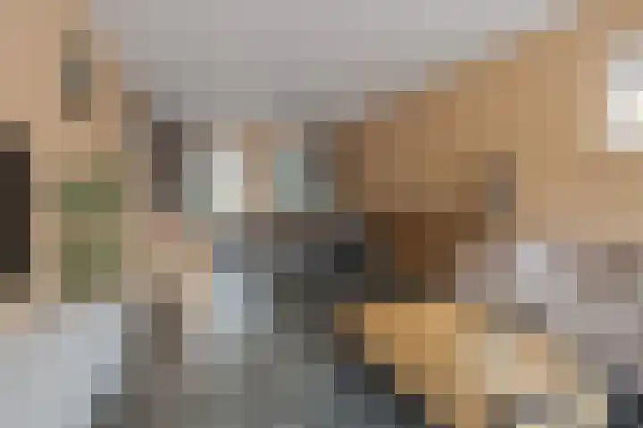 Bongerd 30 Someren thumbnail 4