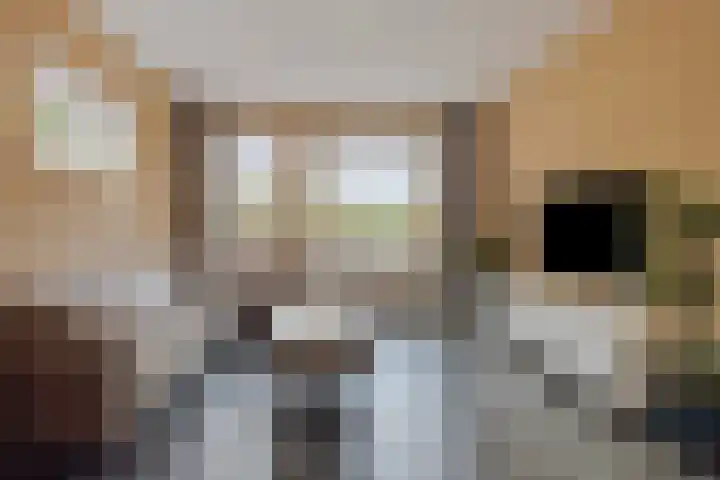 Bongerd 30 Someren thumbnail 5