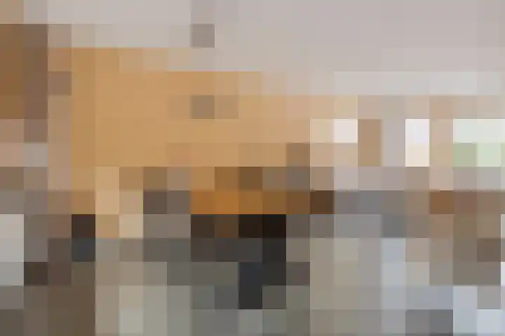 Bongerd 30 Someren thumbnail 7