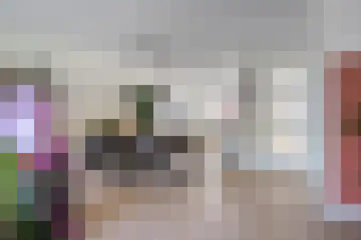Bongerd 45 Helden thumbnail 11