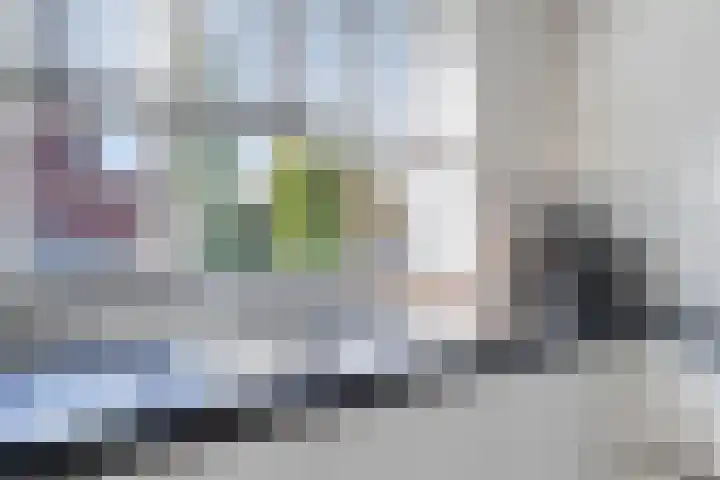 Bongerd 45 Helden thumbnail 15