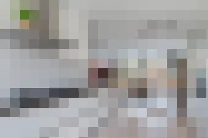 Bongerd 45 Helden thumbnail 16