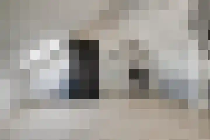 Bongerd 45 Helden thumbnail 26