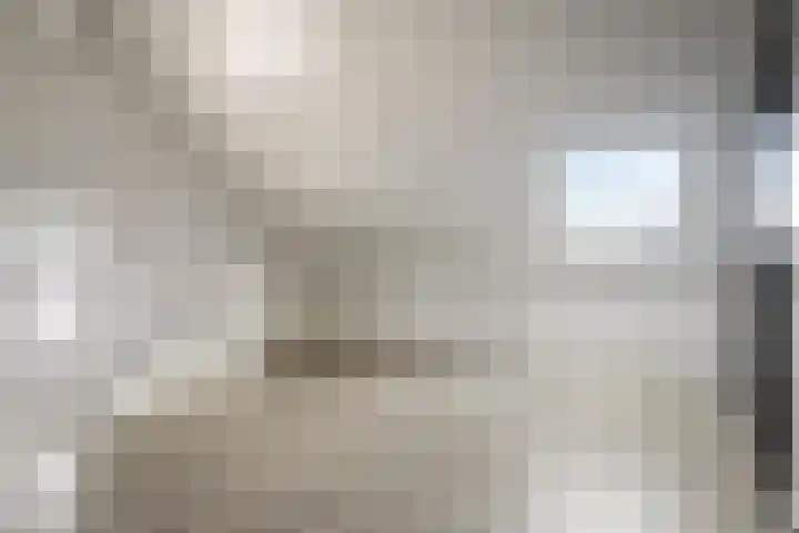 Bongerd 45 Helden thumbnail 28