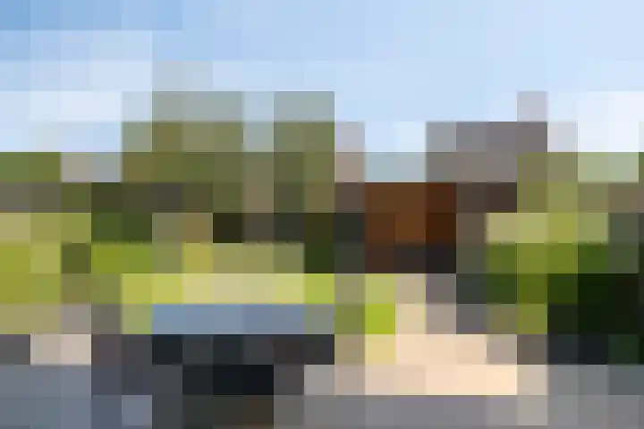 Bongerd 45 Helden thumbnail 29