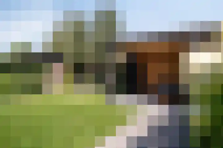 Bongerd 45 Helden thumbnail 32