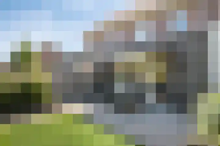 Bongerd 45 Helden thumbnail 34