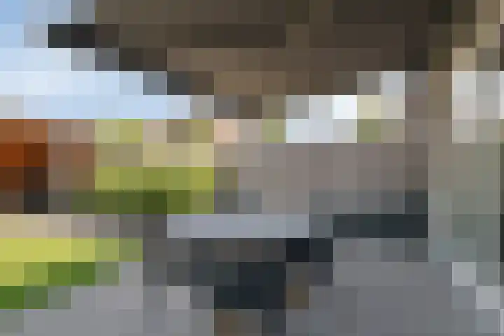 Bongerd 45 Helden thumbnail 35