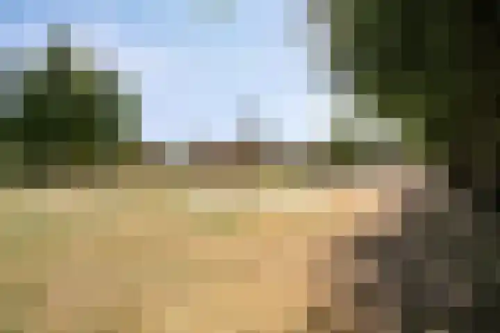Bongerd 45 Helden thumbnail 39