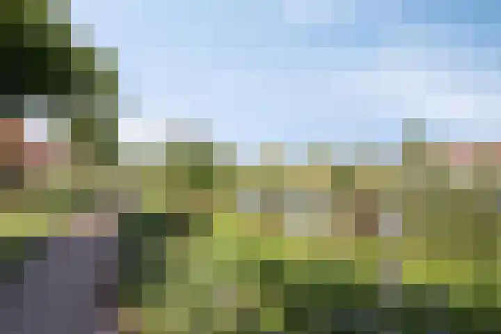Bongerd 45 Helden thumbnail 40