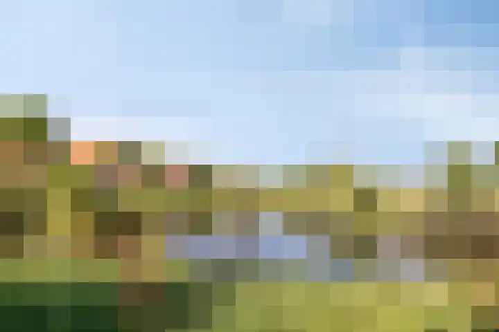Bongerd 45 Helden thumbnail 41