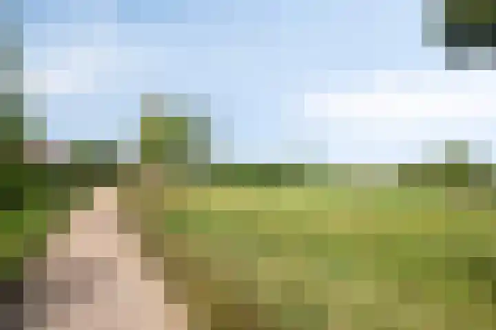 Bongerd 45 Helden thumbnail 42