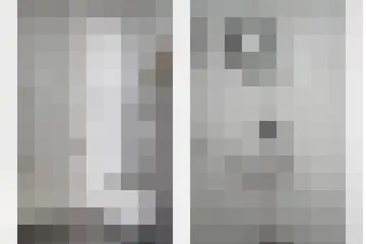 Bongerd 45 Helden thumbnail 6