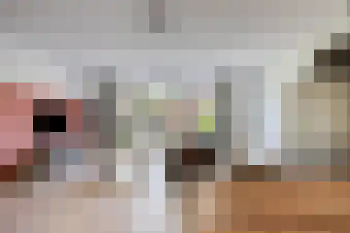 Bongerd 45 Helden thumbnail 8