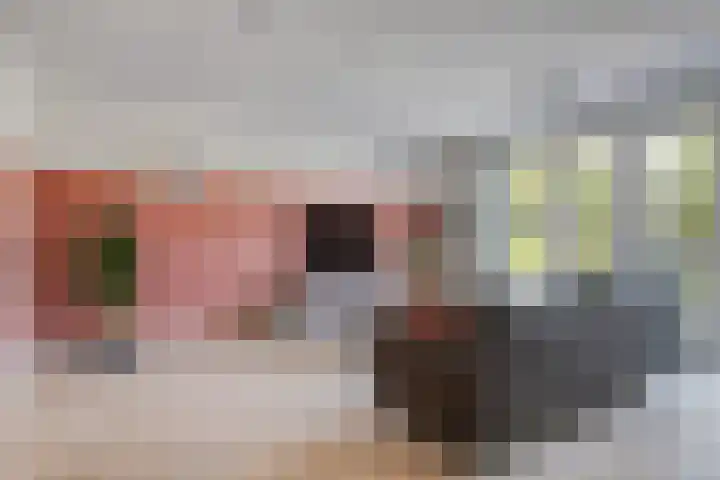 Bongerd 45 Helden thumbnail 9