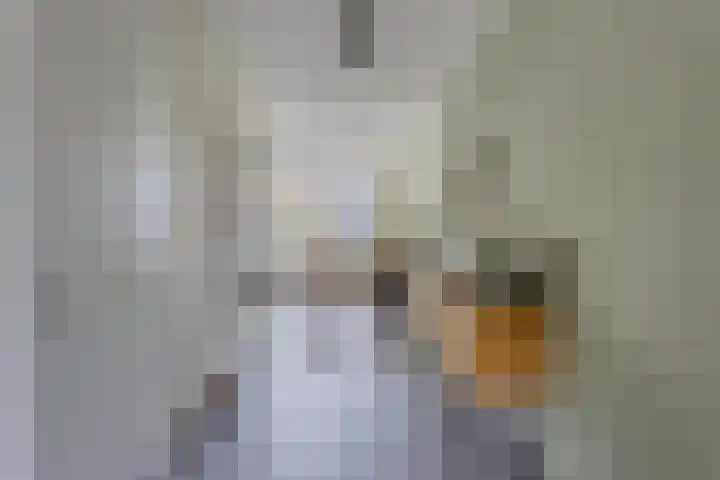 Bongerd 50 A Helden thumbnail 16