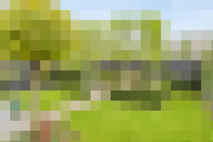 Bongerd 50 A Helden thumbnail 28