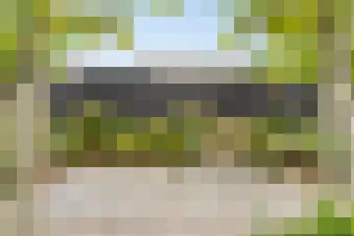 Bongerd 50 A Helden thumbnail 29