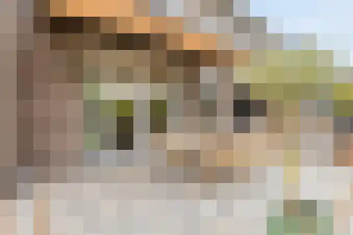 Bongerd 50 A Helden thumbnail 31