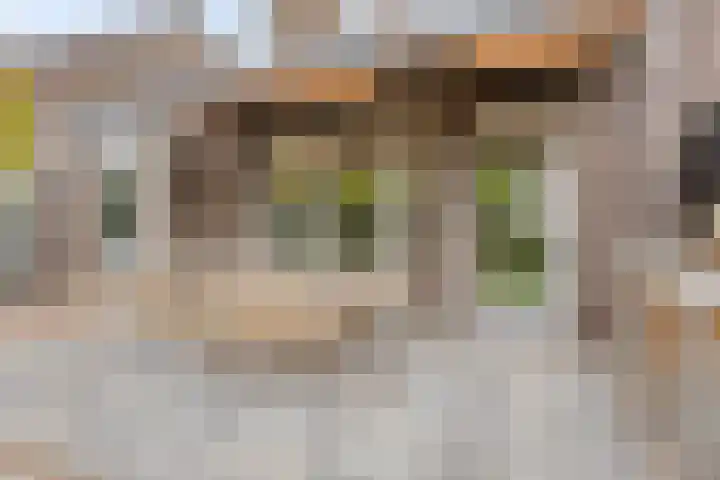 Bongerd 50 A Helden thumbnail 32