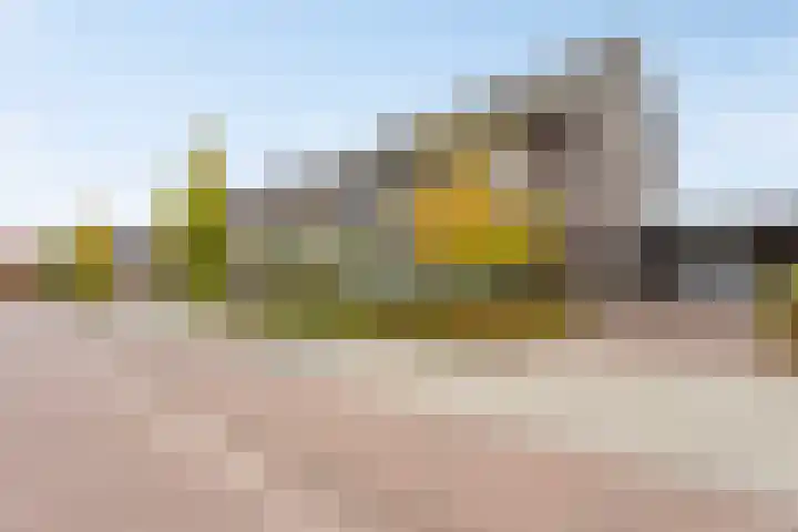 Bongerd 50 A Helden thumbnail 35