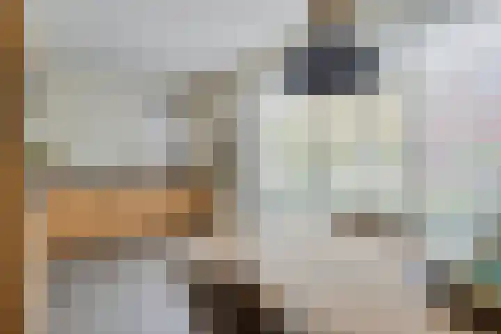 Bongerd 50 A Helden thumbnail 7