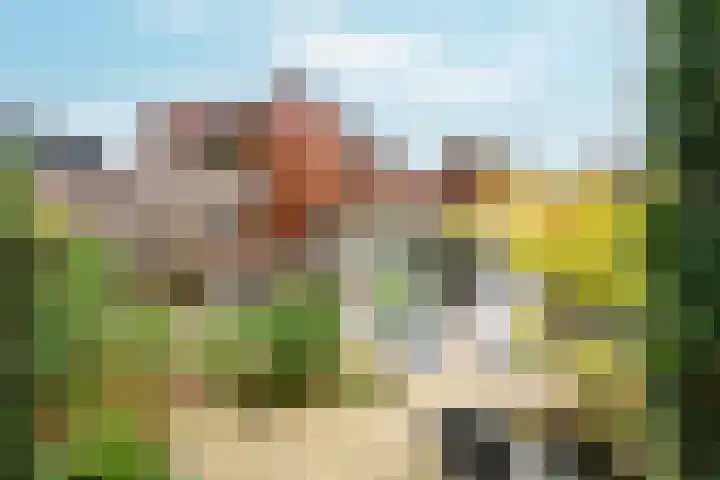 Bongerd 65 Malden thumbnail 36